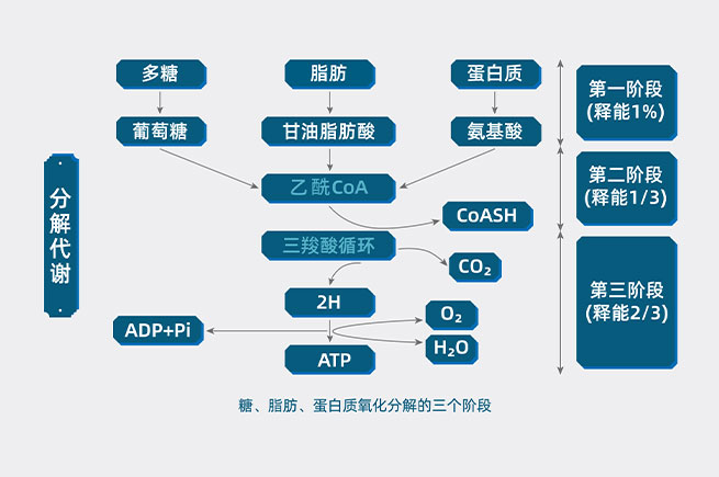 &#20247;&#24425;&#23448;&#32593;&#45;&#40;&#20013;&#22269;&#41;&#32929;&#20221;&#26377;&#38480;&#20844;&#21496;